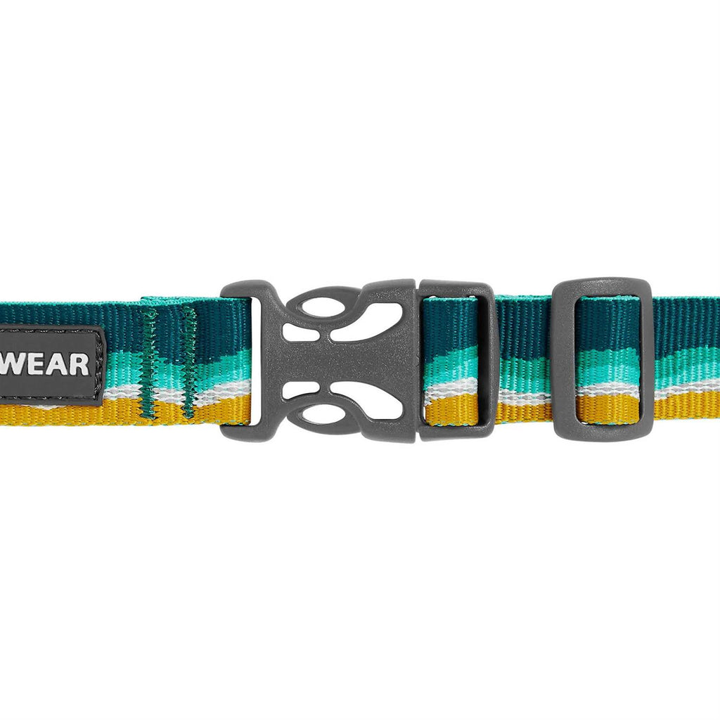 Dog Collar R282193