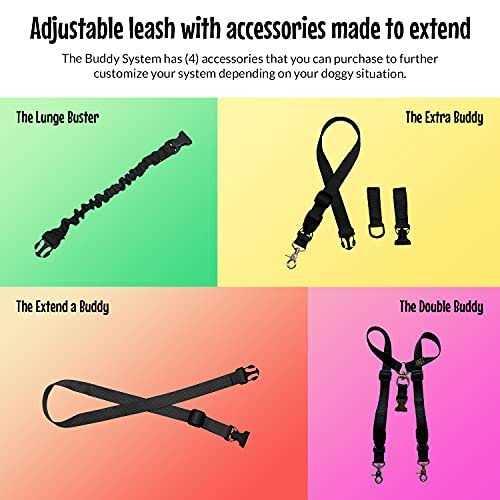 Adjustable Hands Free Dog Leash R5475