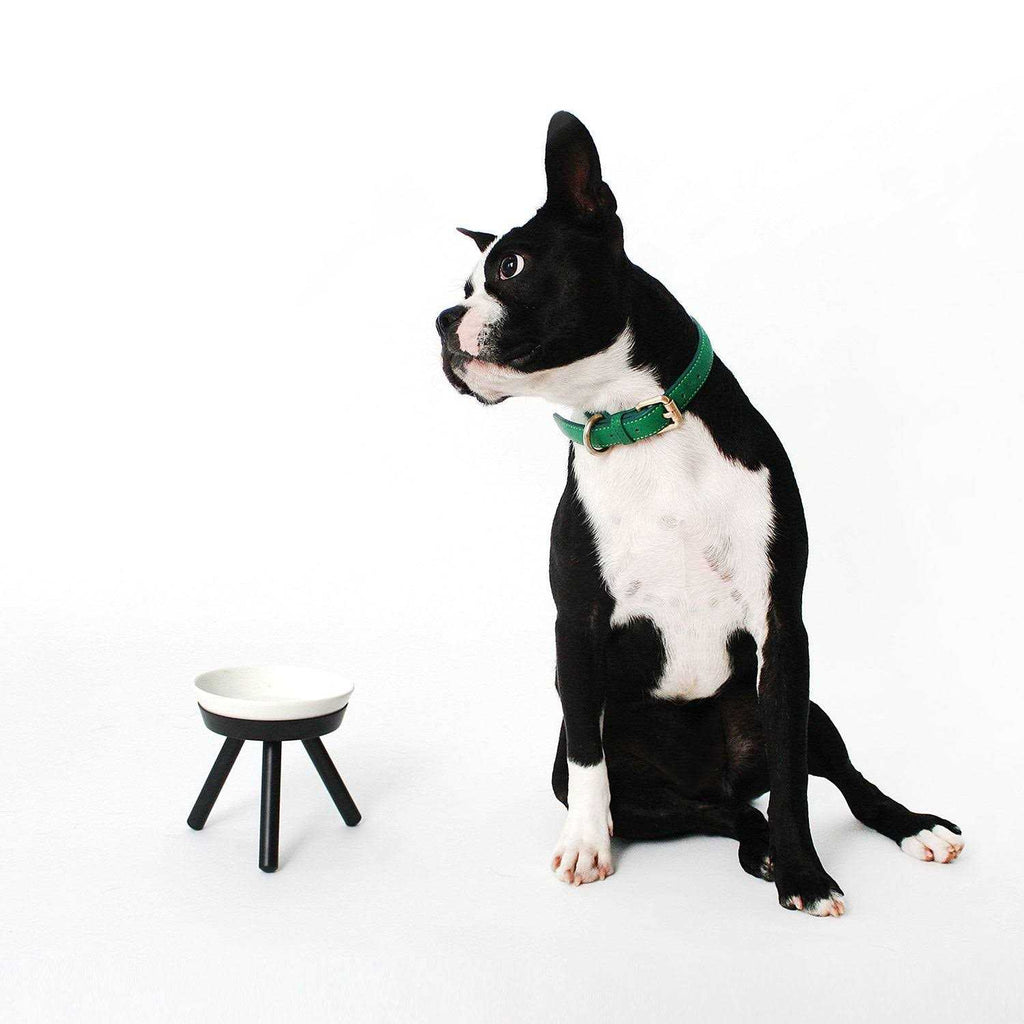 Table Pets L750199