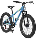 24 inch Mountain Bike with Fat Tires I77717