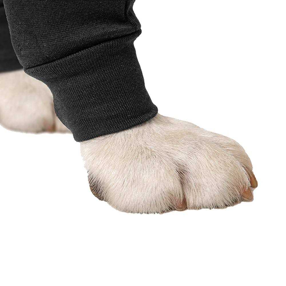 Dog Recovery Sleeves K24261