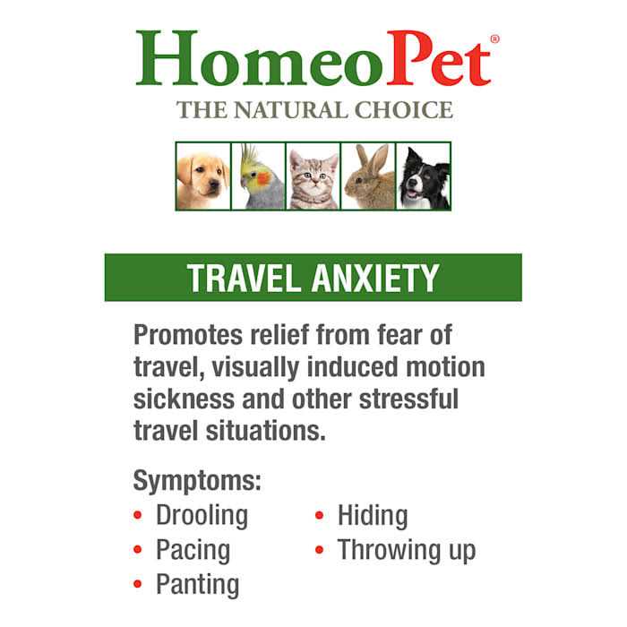 Travel Anxiety Q357