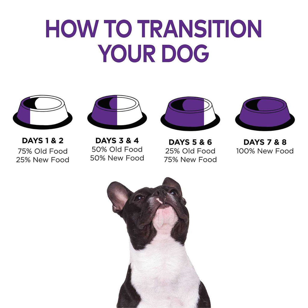 Chicken Senior Dry Dog Food O645908