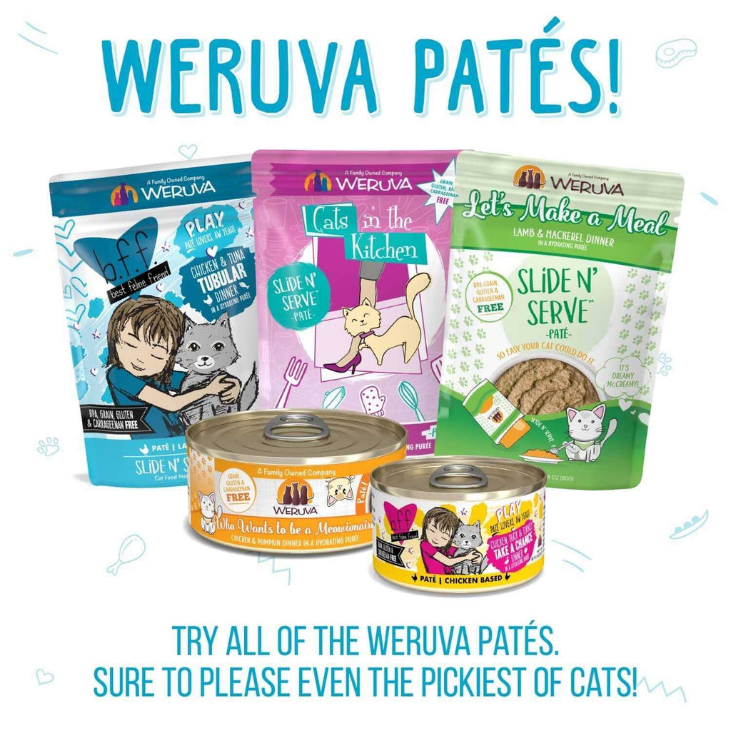 Cat Pate E6381
