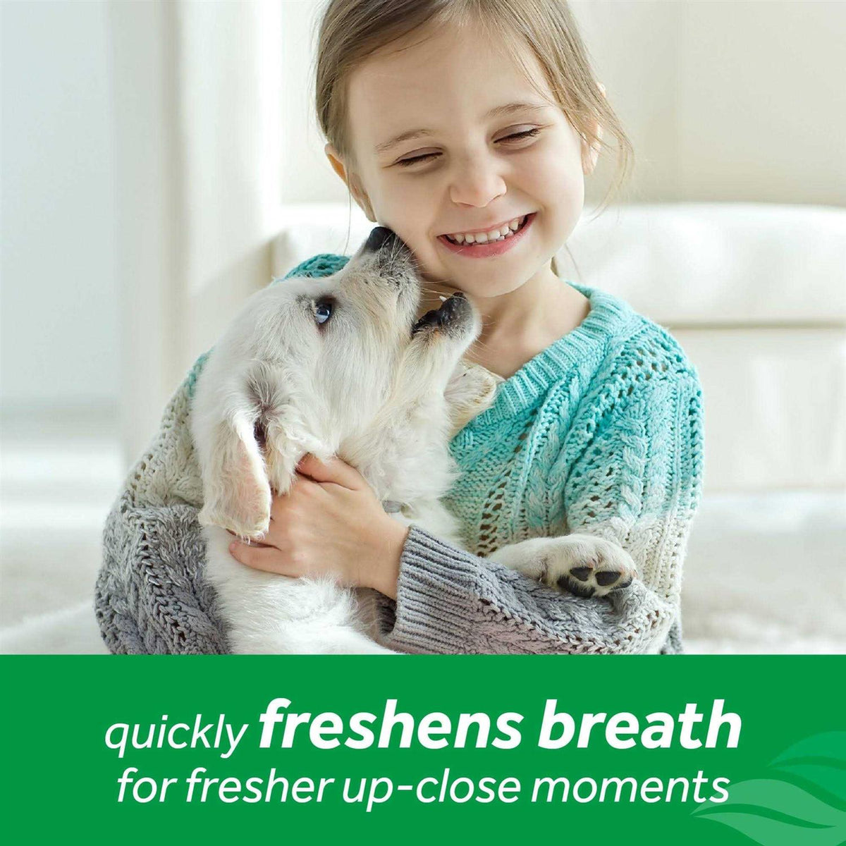 Fresh Breath Mint Foam U8332