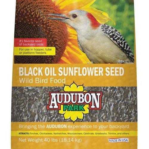 Black Oil Sunflower Seed Wild Bird Food H64856