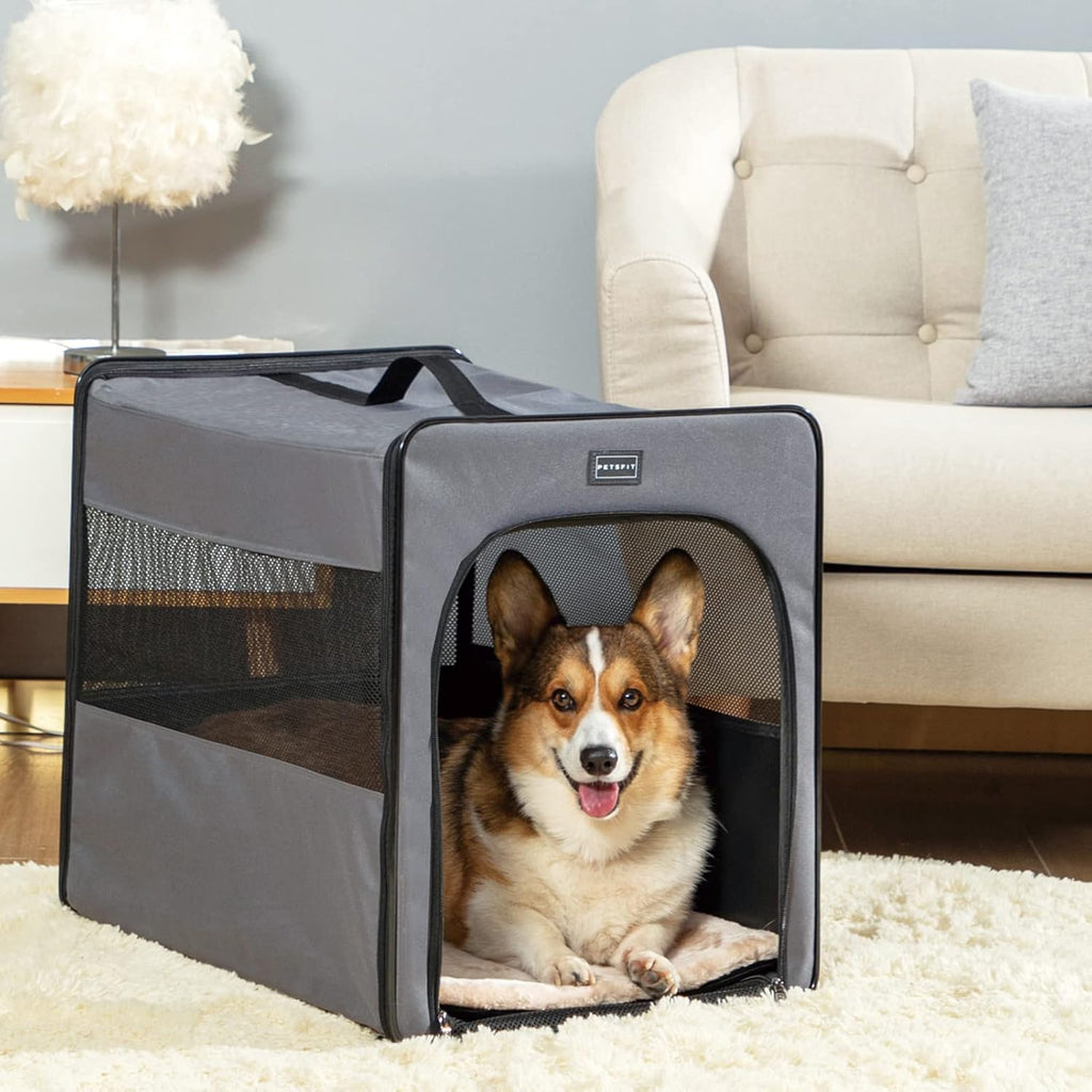 Collapsible Large Dog Travel Crate Y514493