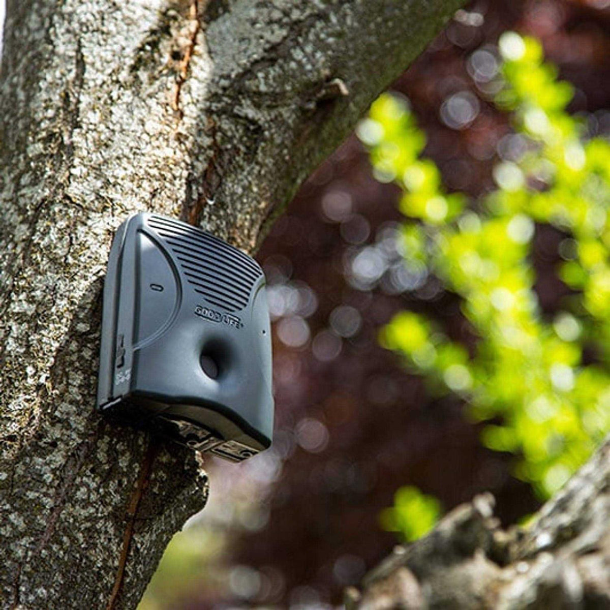 Dog Silencer N215467