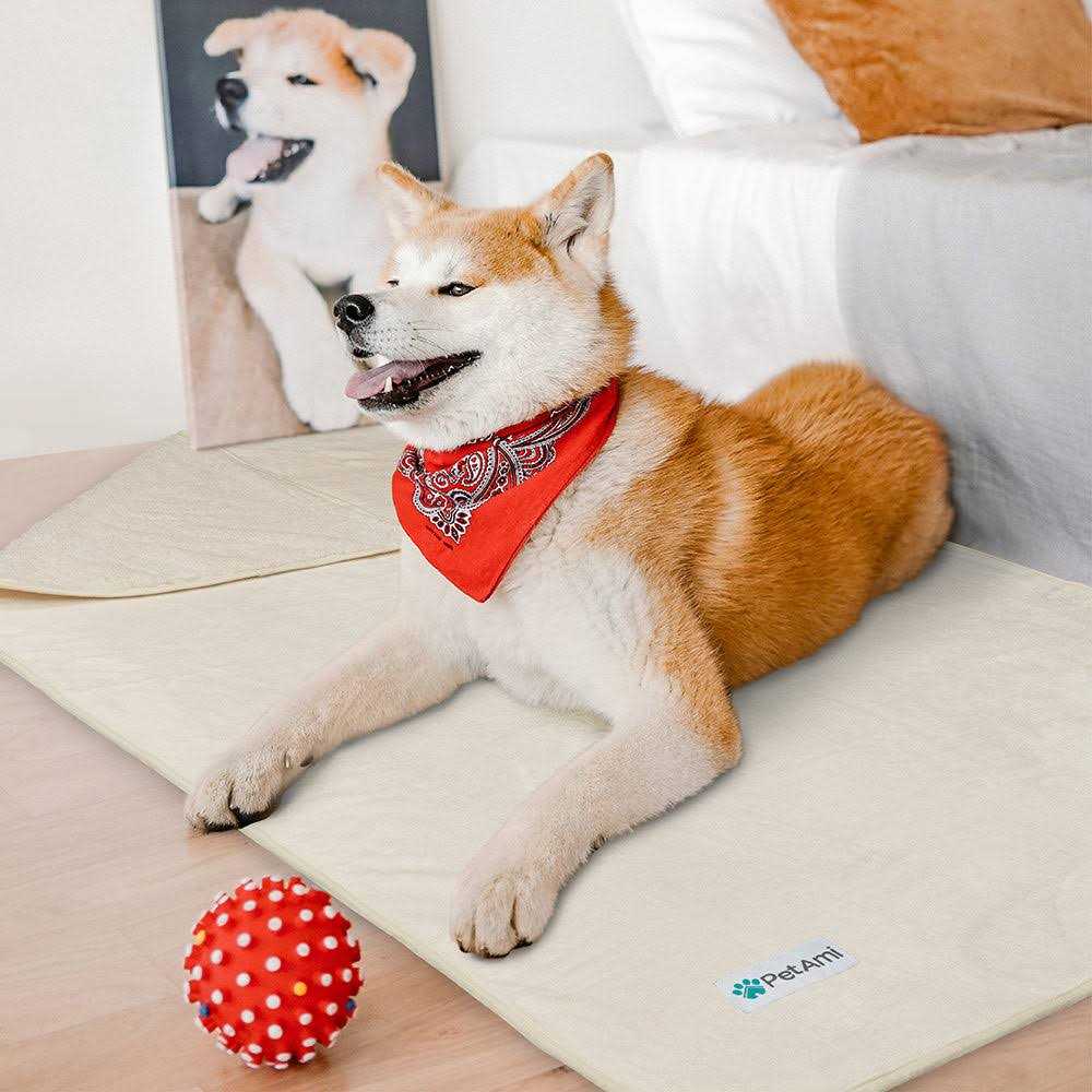 Waterproof Sherpa Fleece Pet Blanket H678845