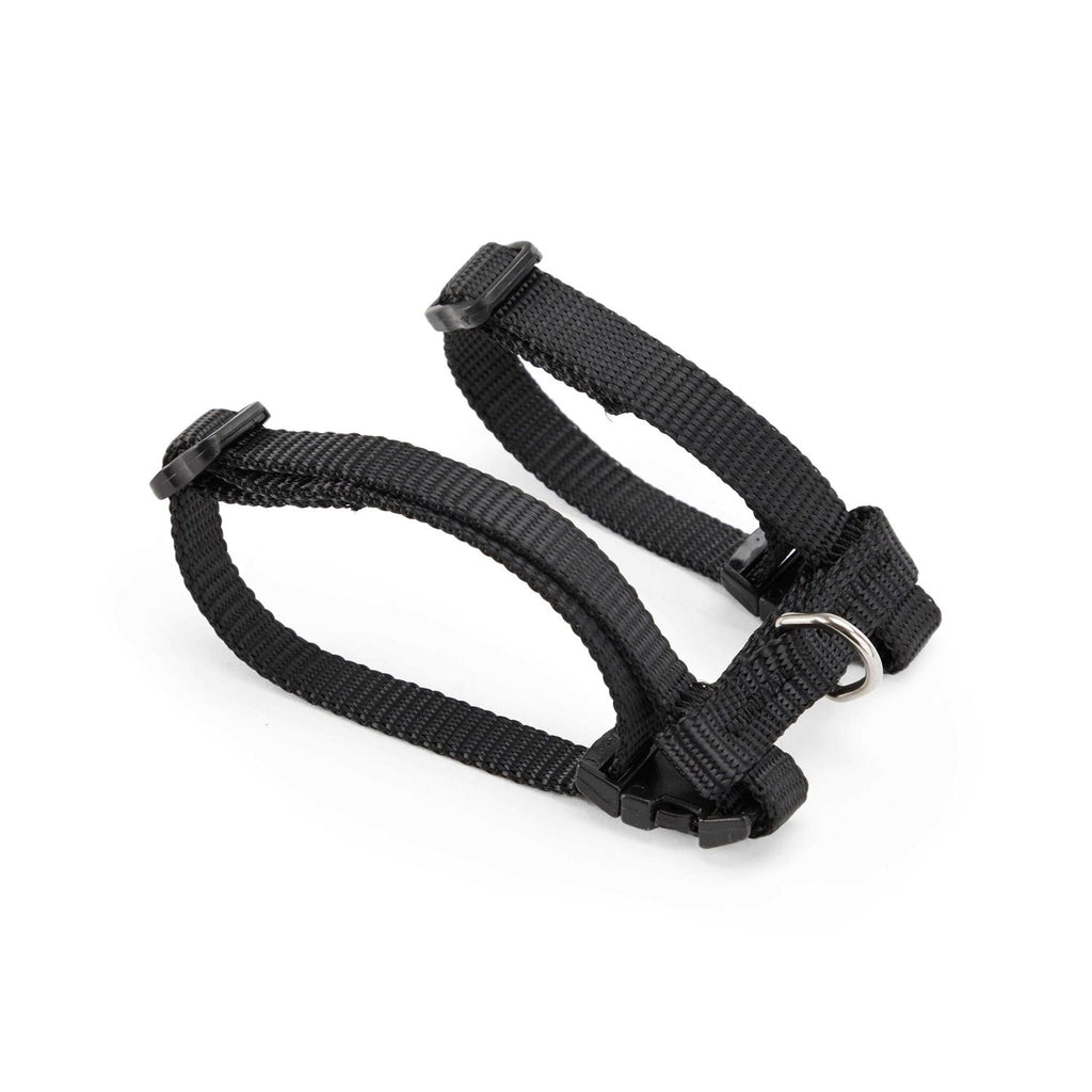 Ferret Harness & Lead A26058