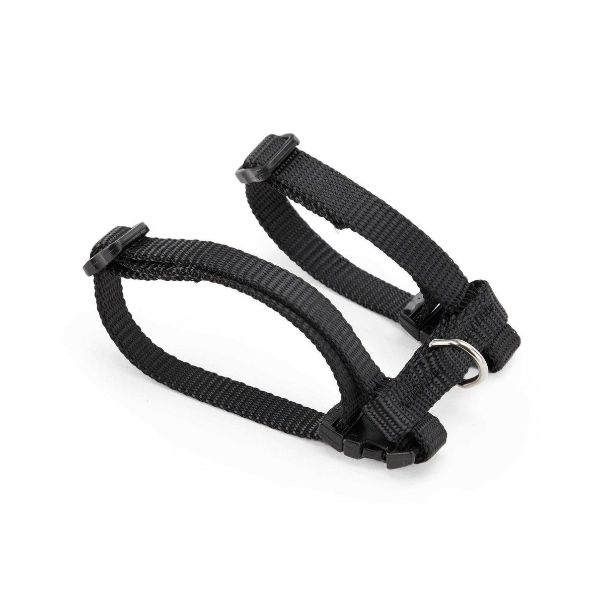 Ferret Harness & Lead A26058