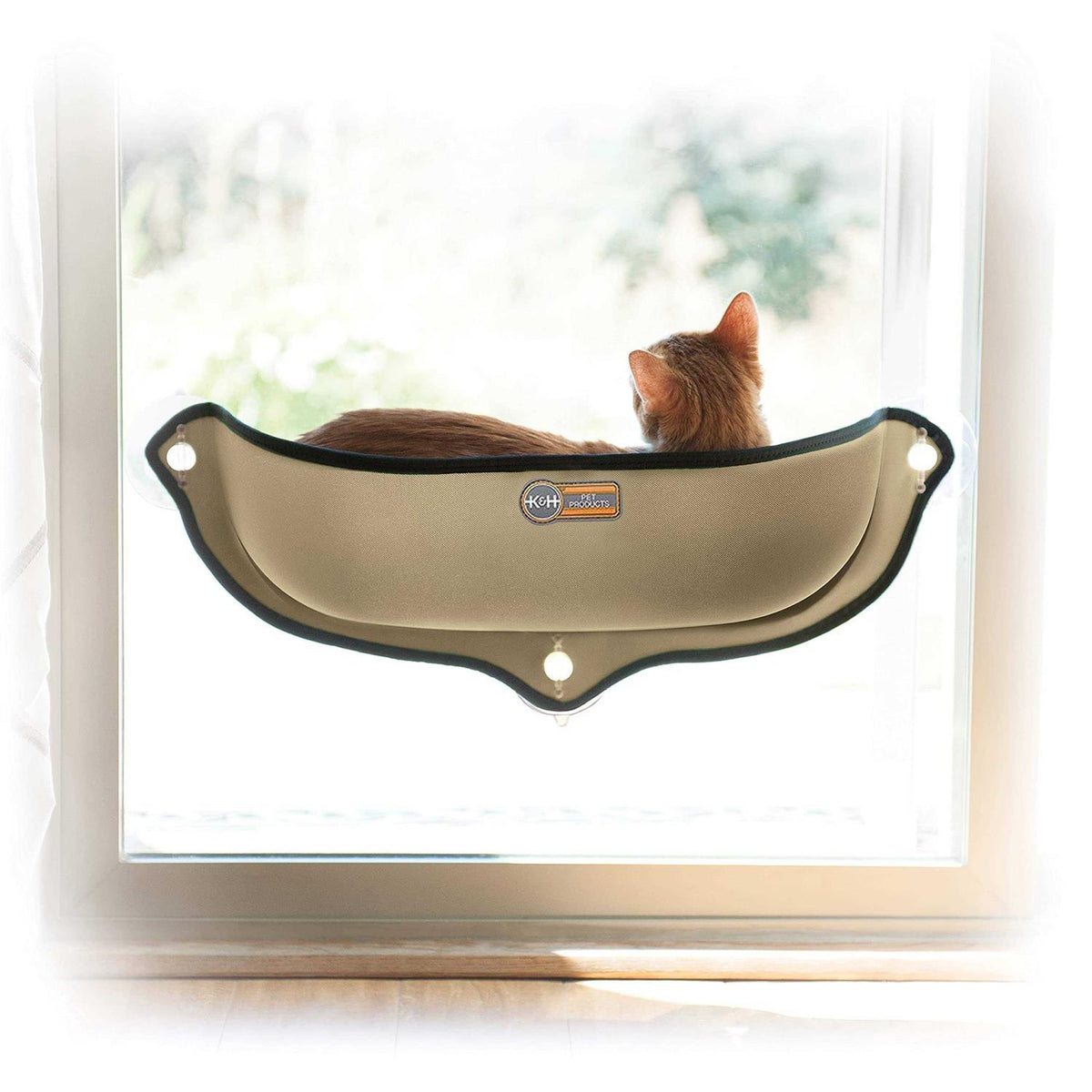 Window Bed Kitty Sill H395156