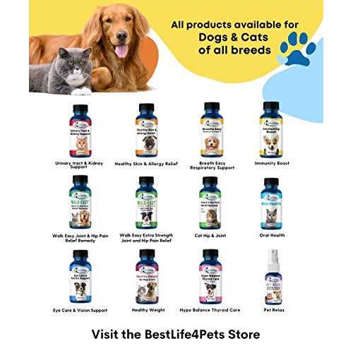 Holistic Ear Infection Treatment for Dogs and Cats L168