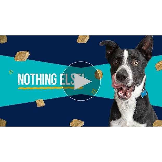 Freeze Dried Chicken Dog Treats B973341