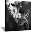Canvas Wall Art Painting 24”x24” H1115
