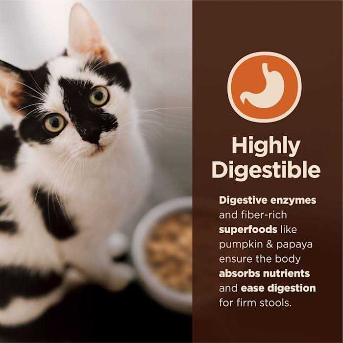 Digestive Health Pate Recipe Wet Cat Food G4192