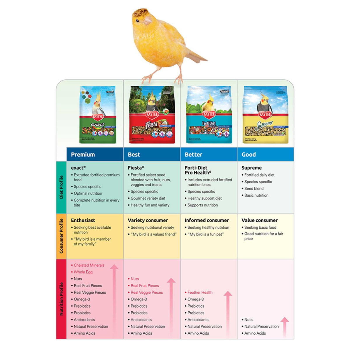 Parakeet Food B11370