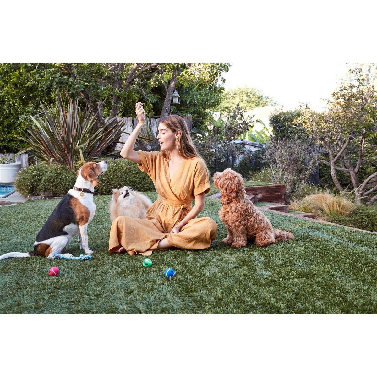 Organic Chicken Jerky Dog Treats S35532