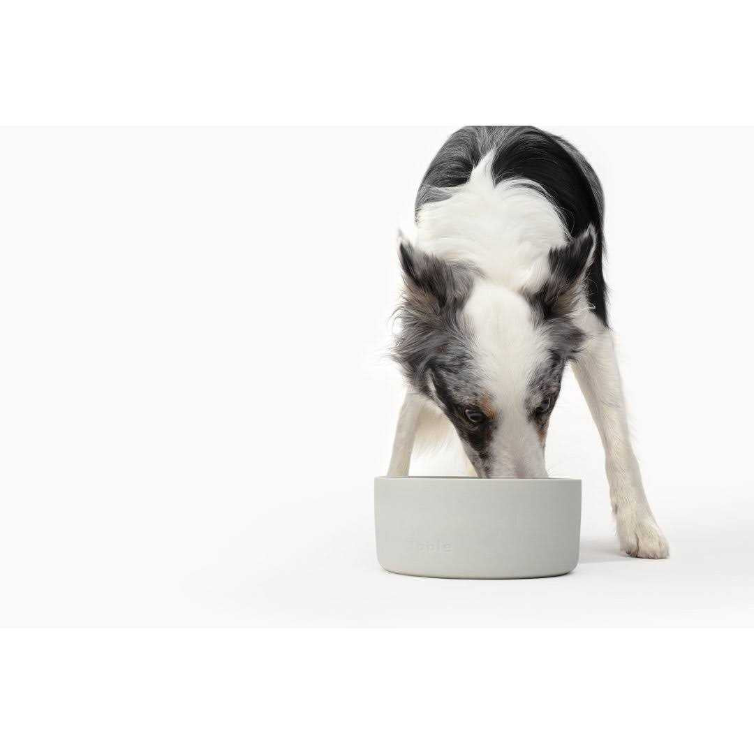 Bowl K359910