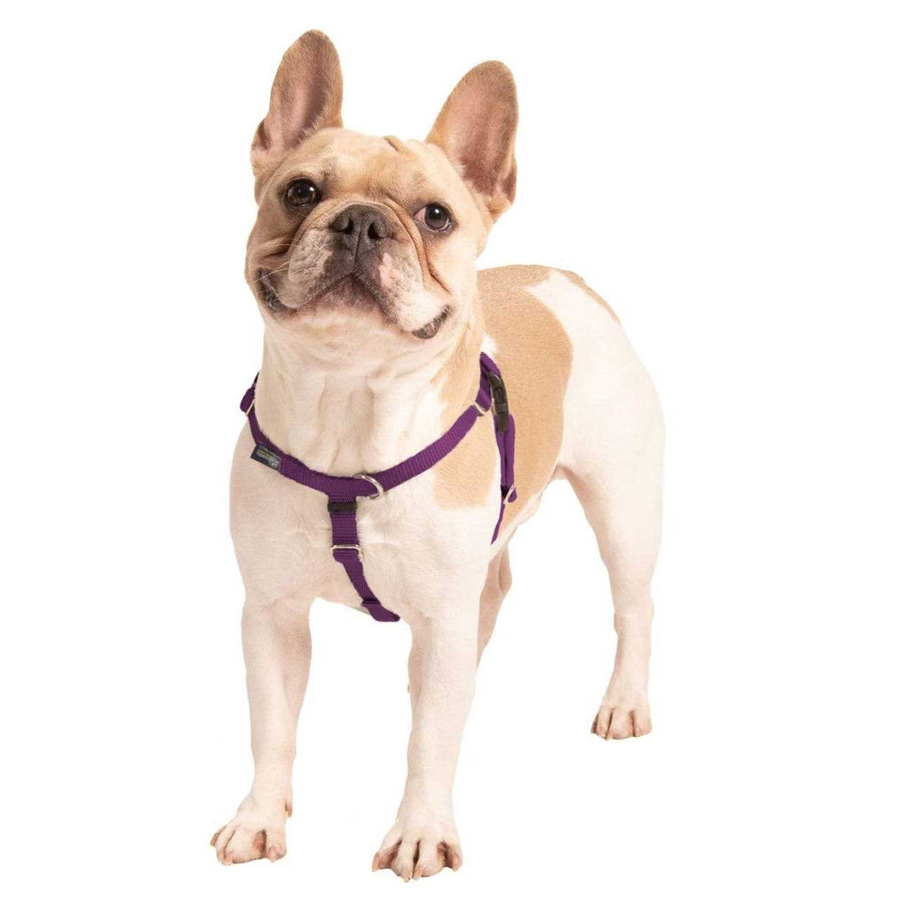 No Pull Dog Harness Leash R87210