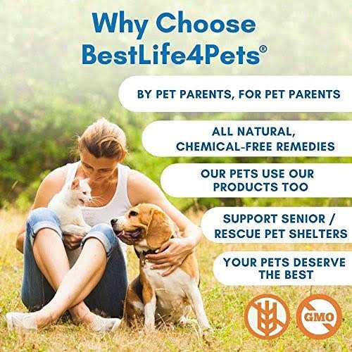 Holistic Ear Infection Treatment for Dogs and Cats L168