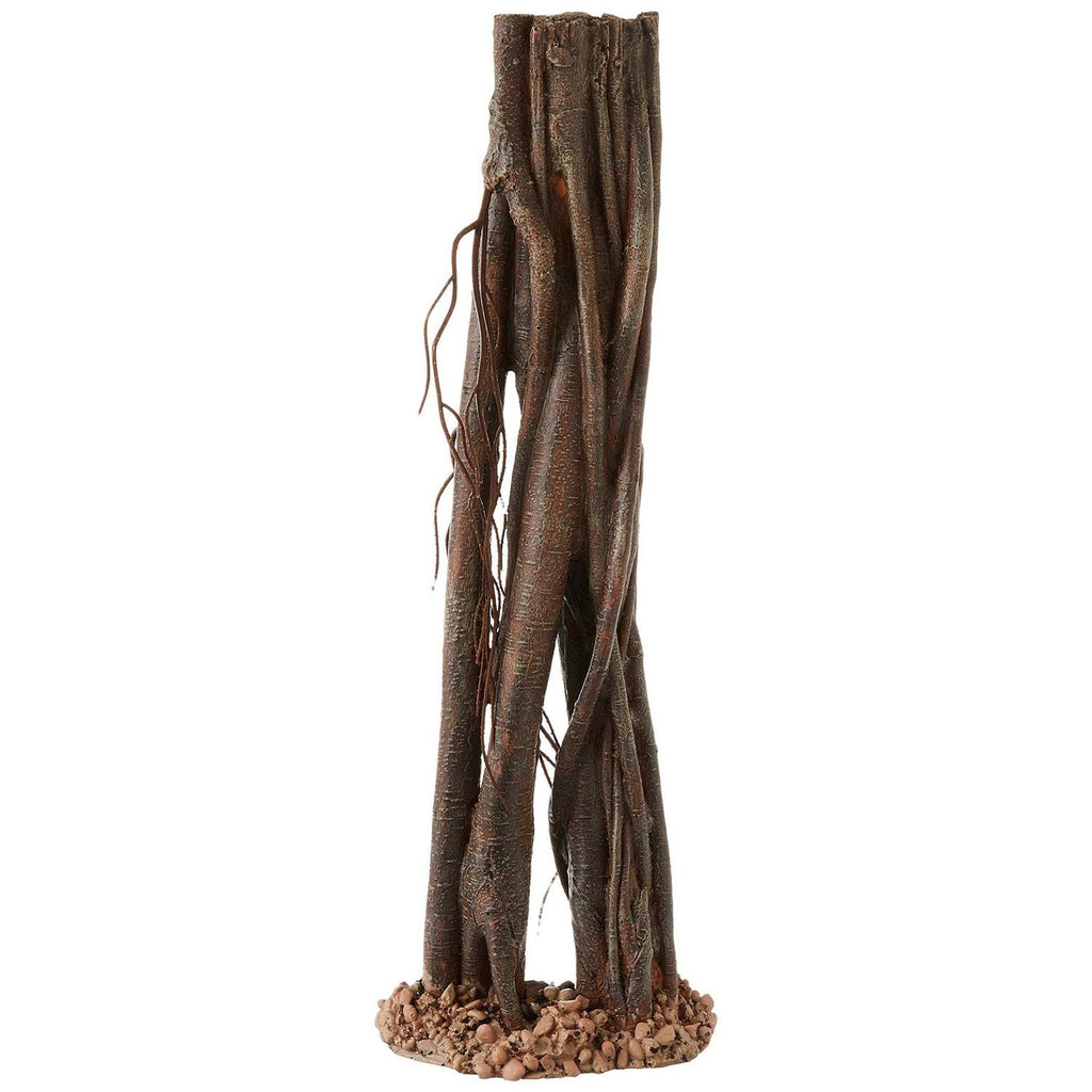 Mangrove Root Y83990