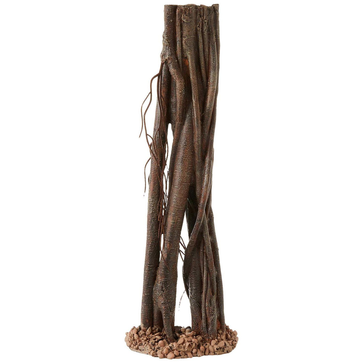 Mangrove Root Y83990