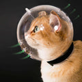Transparent Breathable Cat Muzzle M Size L6699