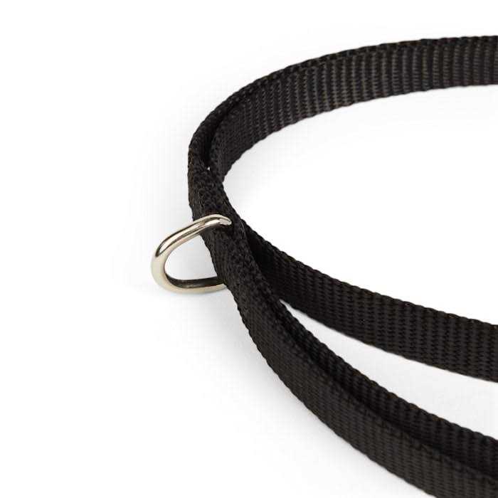 Dog Lead M546