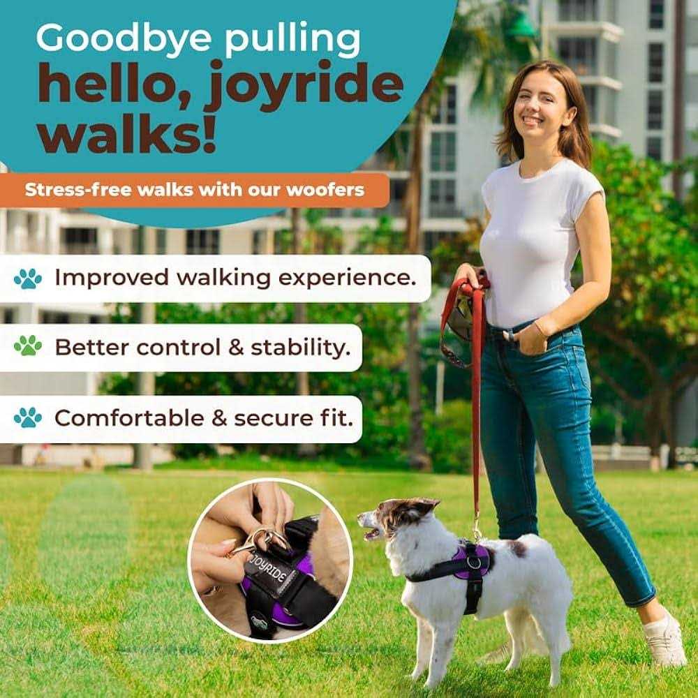 No Pull Easy On-Off Dog Harness P681230