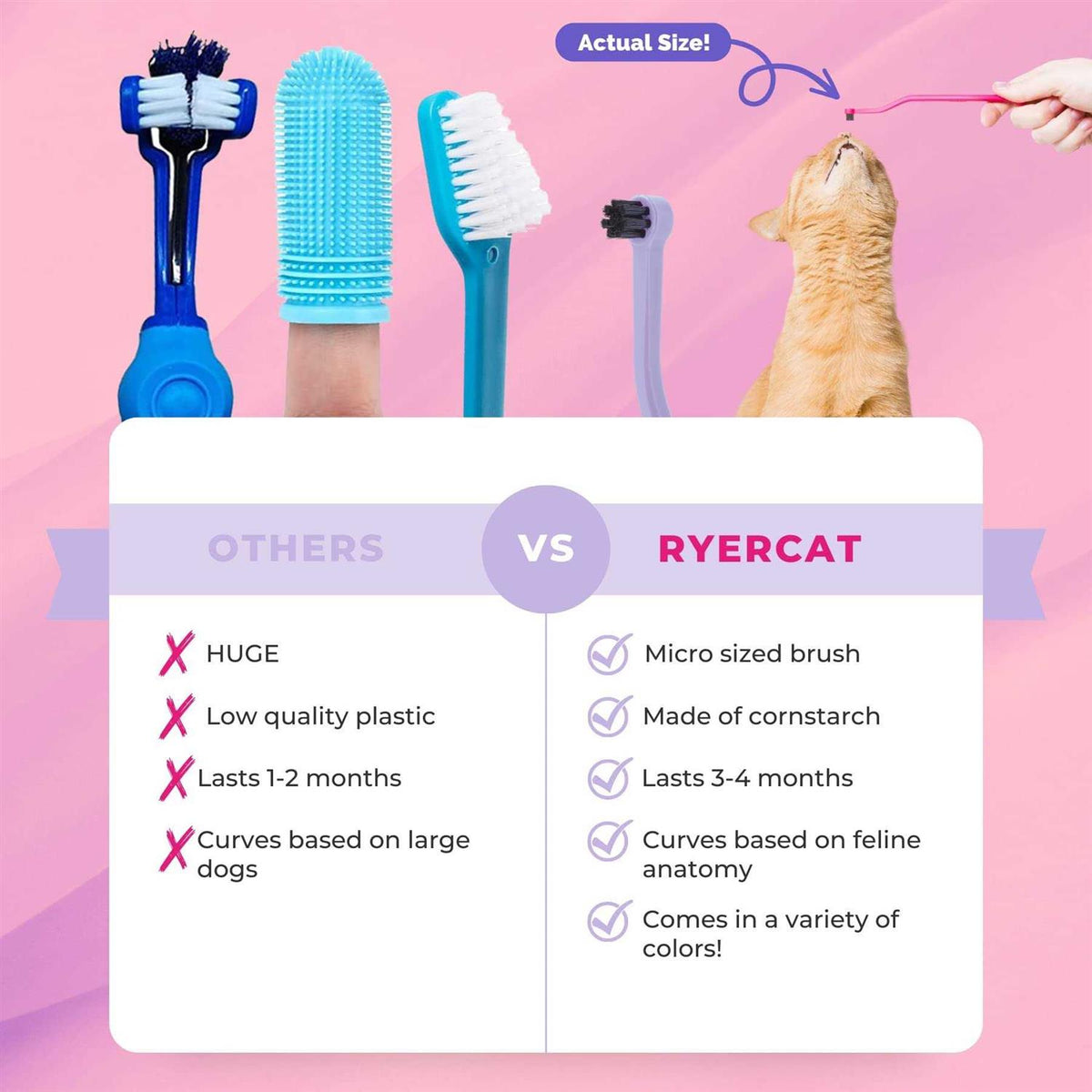 Dual Sided Cat Toothbrush C139572