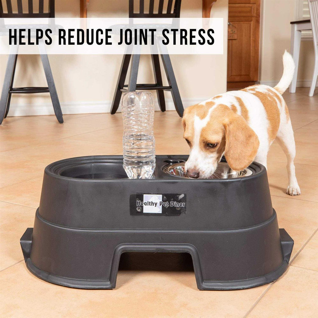 Elevated Dog Feeder I377151