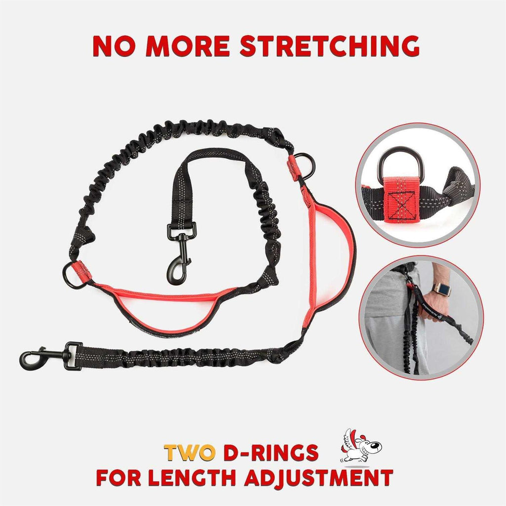 Hands Free Dog Leash E33606