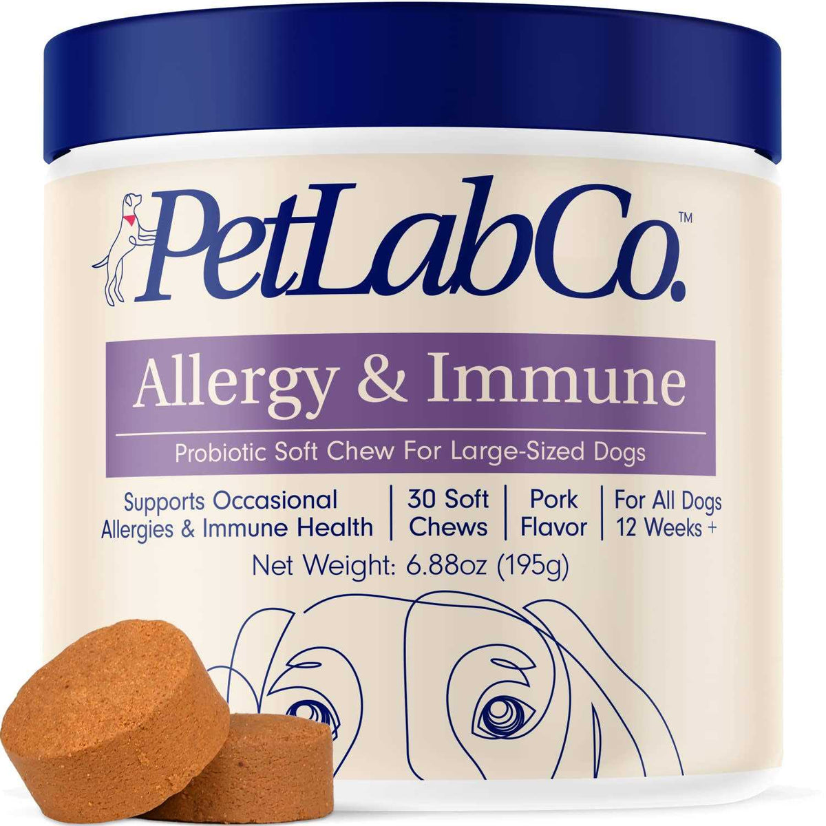 Allergy & Immune Support J555407