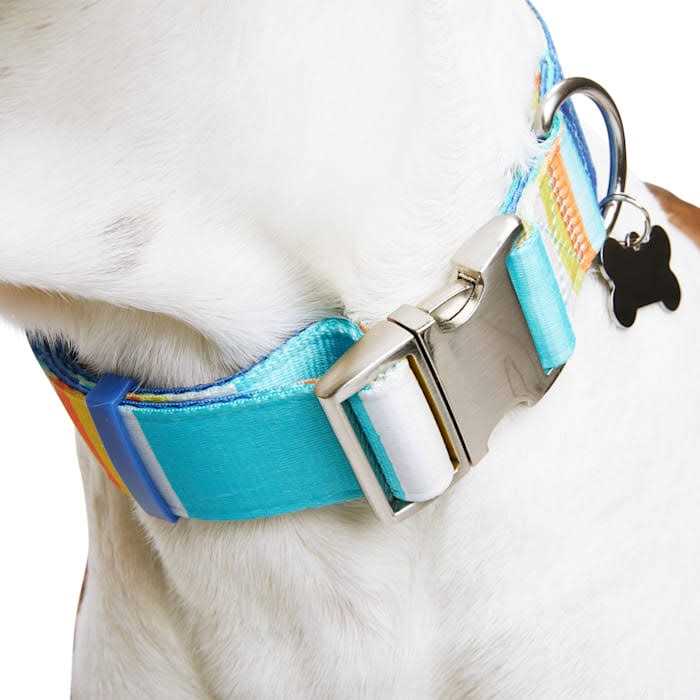 Reflective Dog Collar R990