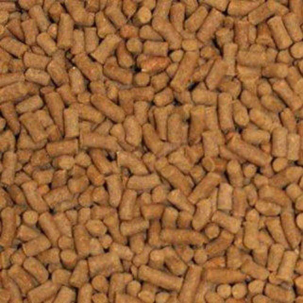 Sinking Shrimp Fish Food Pellets E4704