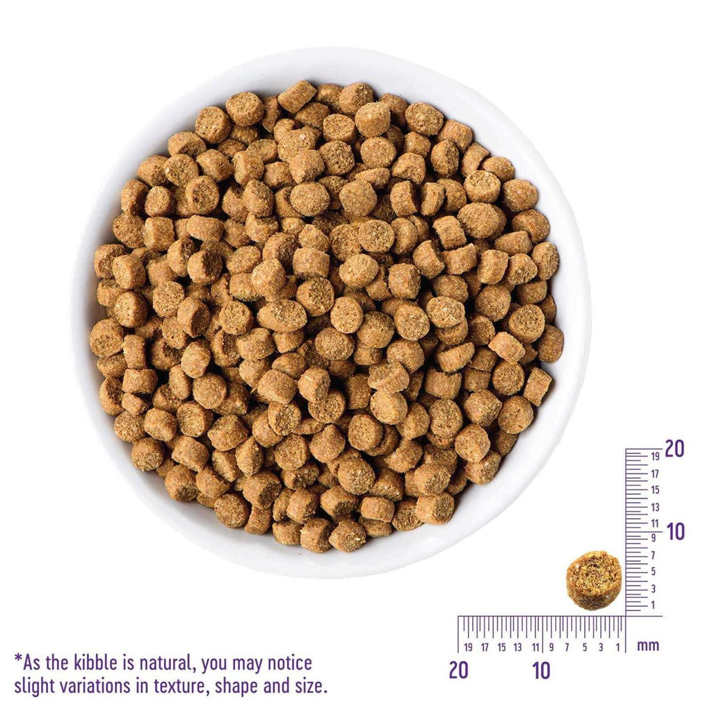 Grain-Free Turkey & Duck Dry Cat Food K591