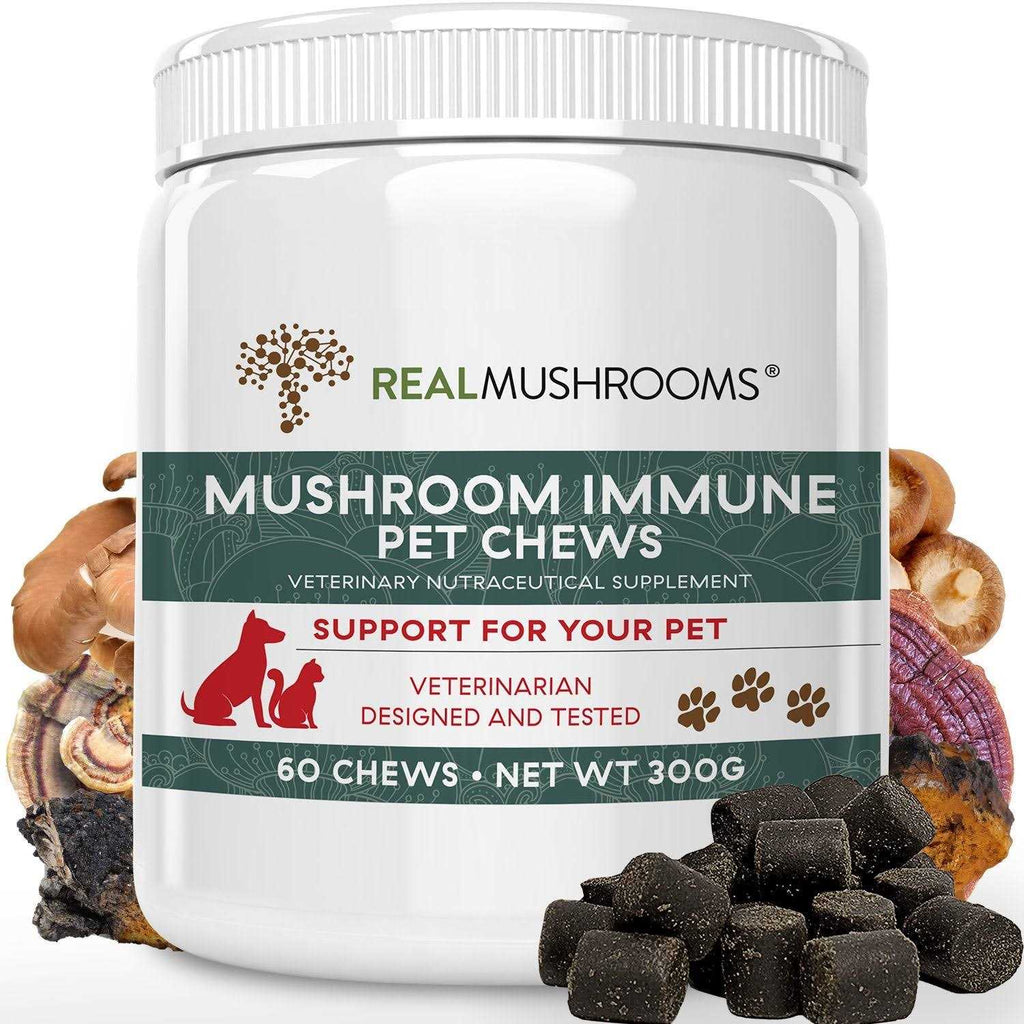 Mushroom Immune Pet Chews I72929