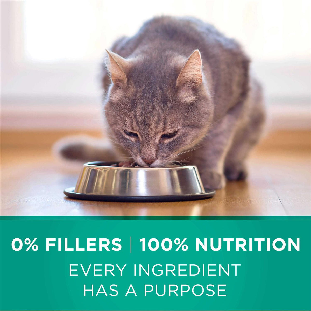 Sensitive Systems Dry Cat Food R296