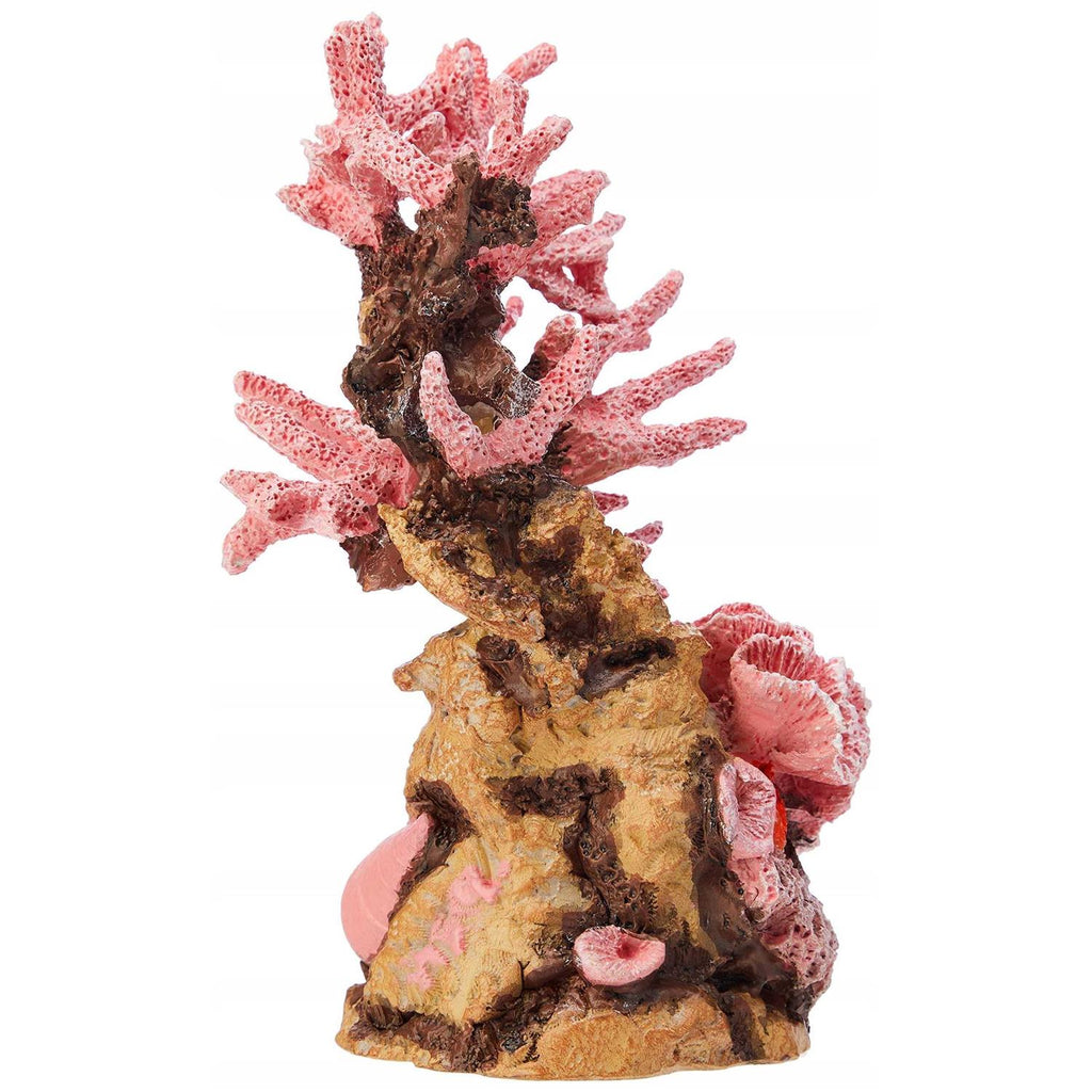Reef Ornament S81514