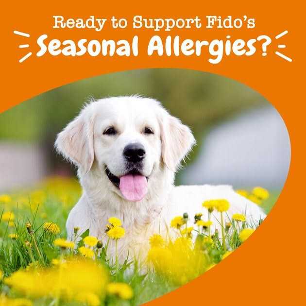 Salmon Allergy & Immune Bites for Dogs T751