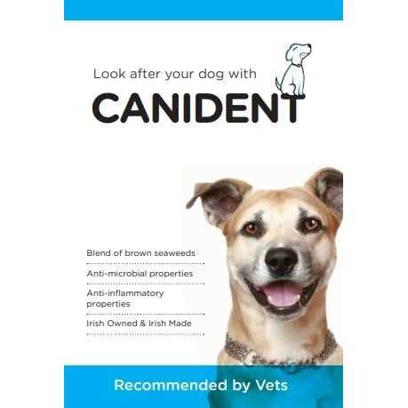 Clean Dogs Teeth N255610
