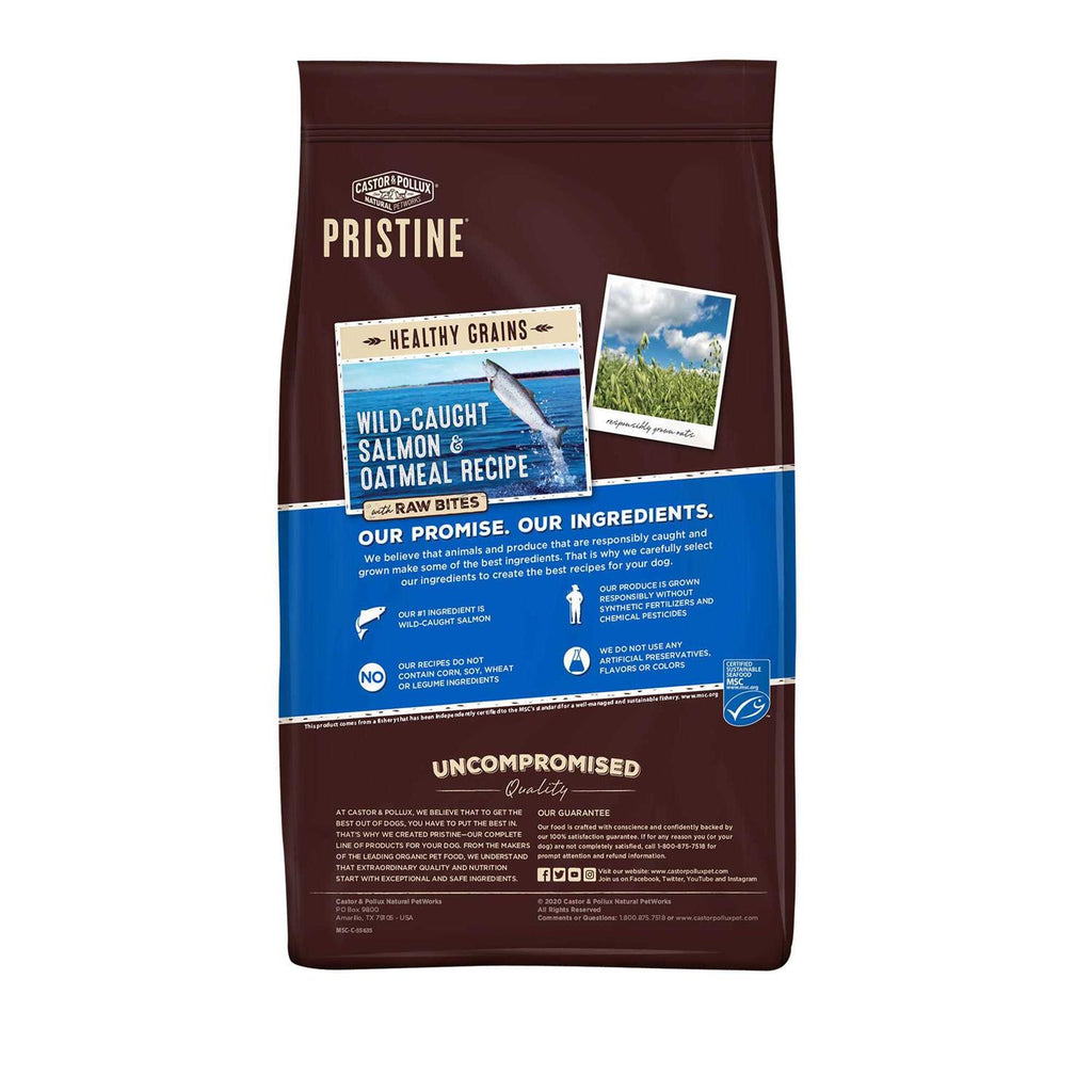Wild Caught Salmon & Oatmeal Dog Food V69687