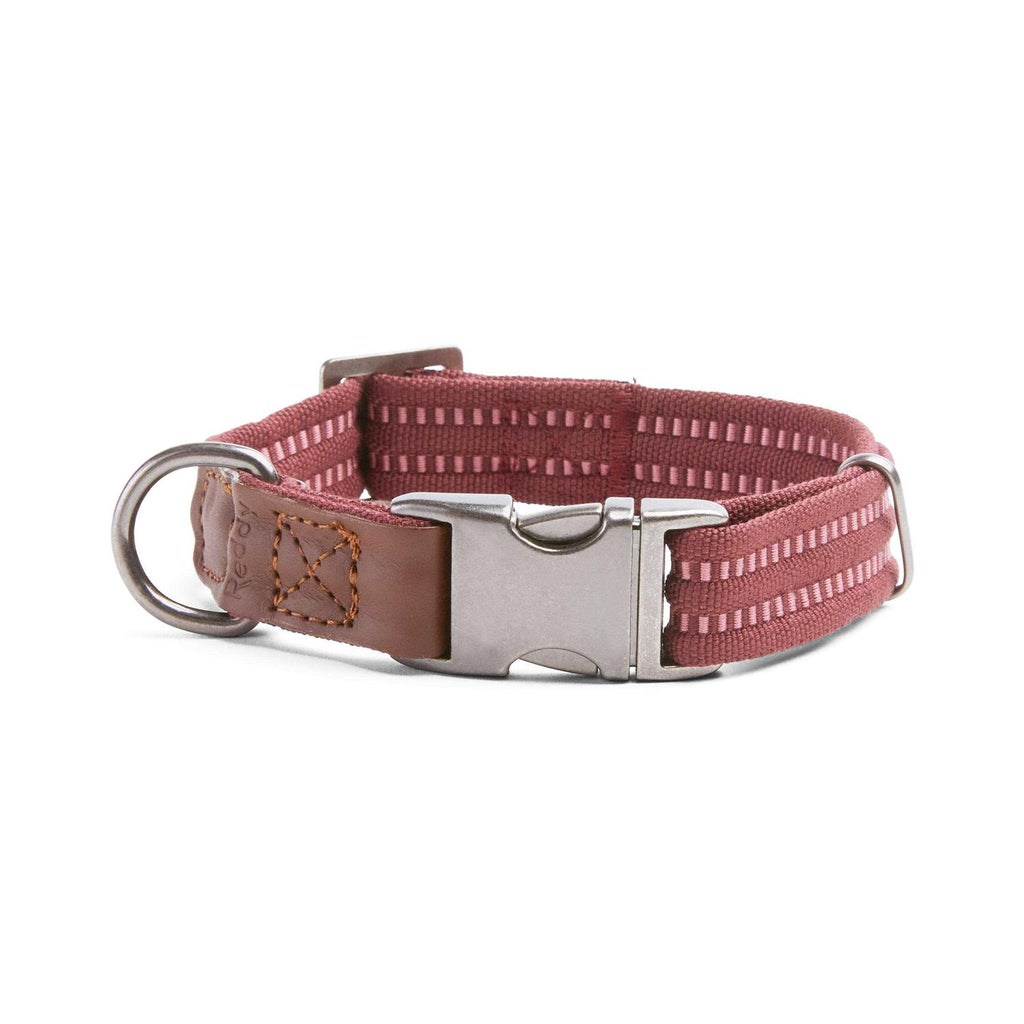 Webbed Dog Collar M183