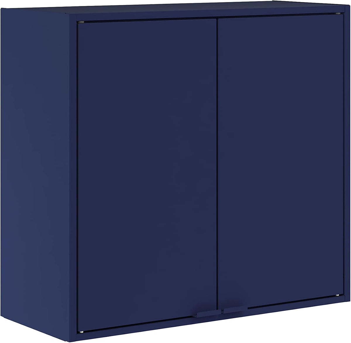 Two Doors Wall Steel Cabinet Space Organizer Blue O69763