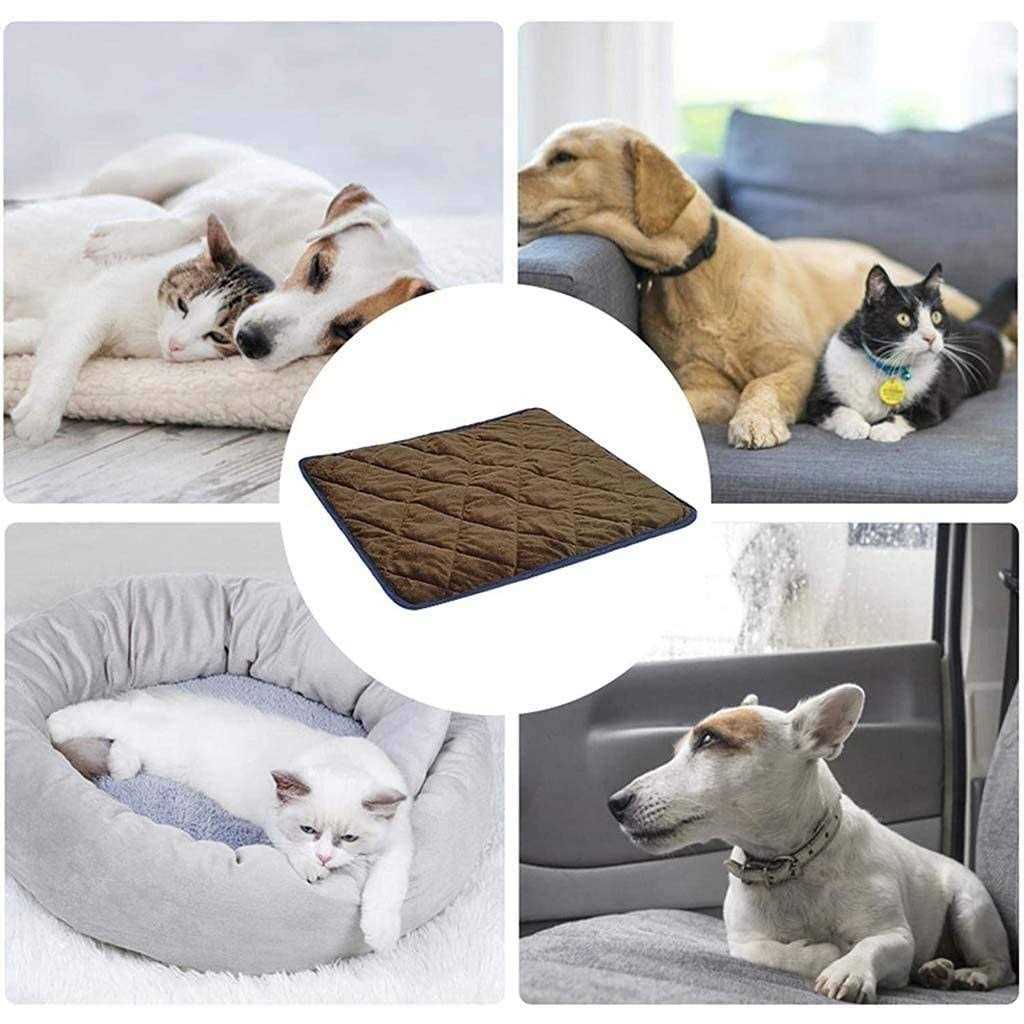 Pet Warming Pad B885675
