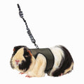 Harness Leash K137001