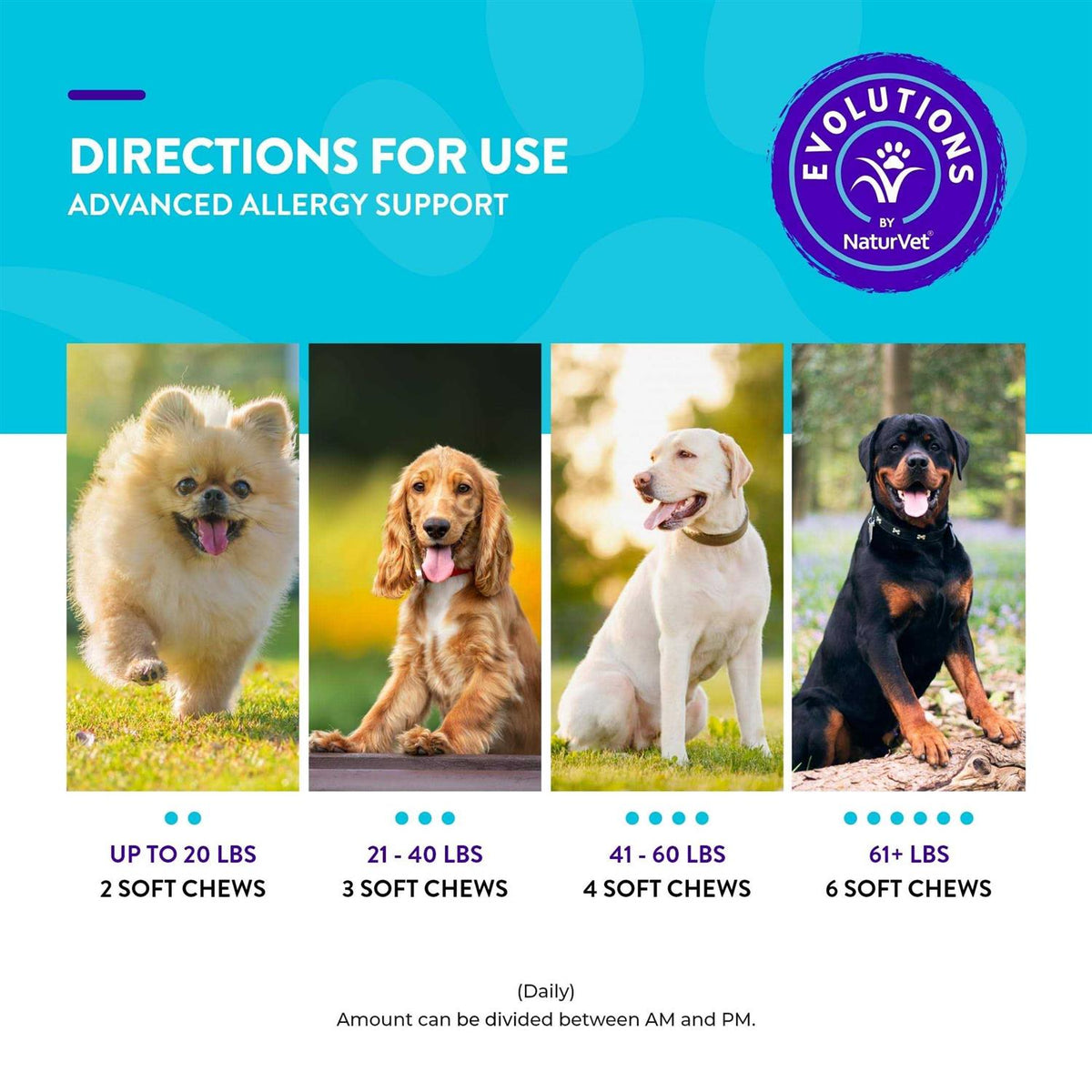 Advanced Allergy Support Soft Chews L44179
