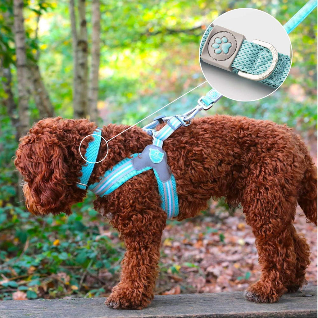Mesh Dog Collar Y259465