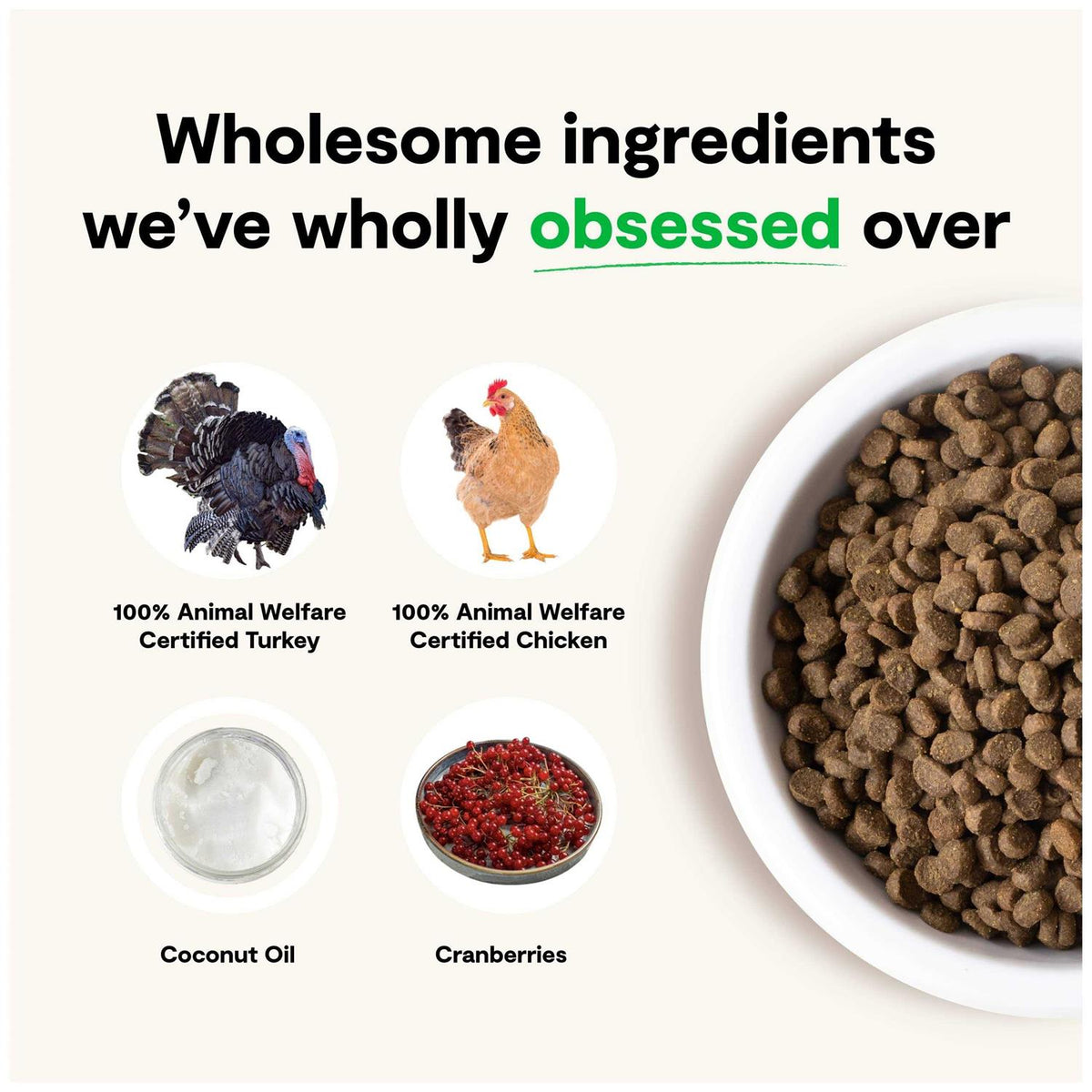 Grain Free Kitten Recipe U5335
